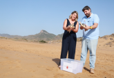 Cartagena se consolida como referente del cuidado y protecci�n de la fauna del Mediterr�neo con la suelta de 28 tortugas bobas en Calblanque
